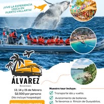 Flyer de Puerto Vallarta y Rincón de Guayabitos